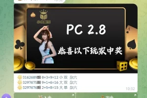 TG加拿大28机器人源码/Telegram机器人源码/独立管理后台/带视频搭建教程