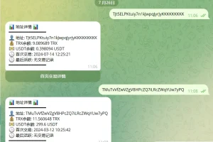 波场地址查询机器人/trx/usdt地址查询/简单文本教程