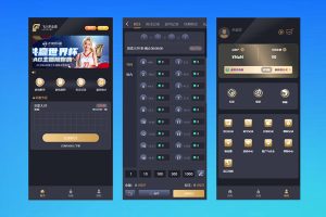 多语言加拿大28源码/飞六美金盘/多玩法追号/前端vue纯源码+后端Java