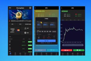 2025最新PC版微盘系统/微盘外汇系统/USDT充值/九种语言/实名认证