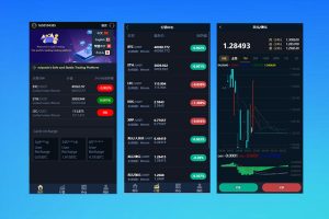 海外版微盘外汇系统/多语言投资系统/USDT充值