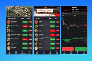 海外多语言/微交易系统/微盘源码/K线正常/投资理财