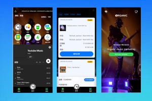 海外音乐抢单系统源码｜多语言PHP刷单平台｜连单卡单/叠加组规则/打针功能｜前端HTML后端PHP完整开源