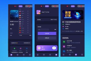 秒u授权押质源码 此套是定制的前端使用vue开发, 后端是php的