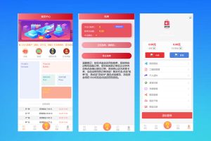定制版自动抢单支付系统源码|支持多级代理|自动抢单接单