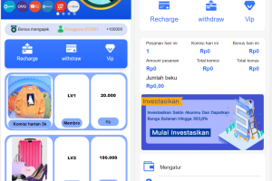 海外刷单抢单平台源码/自带利息宝/理财活动/文本搭建教程