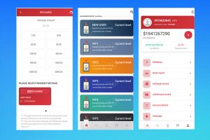 二开版海外抢单刷单系统/用户风险值/叠加组/打针/订单自动匹配系统