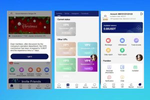 海外YouTube视频点赞刷单悬赏任务投资理财源码/tiktok国际版刷单理财